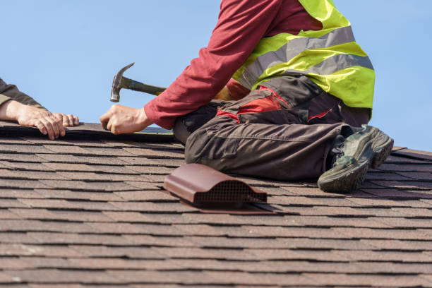 Best Roof Gutter Cleaning  in De Smet, SD