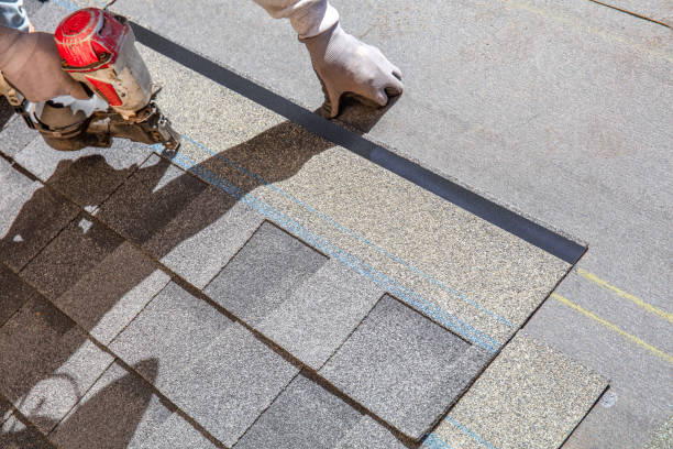 Best Roof Repair Services  in De Smet, SD